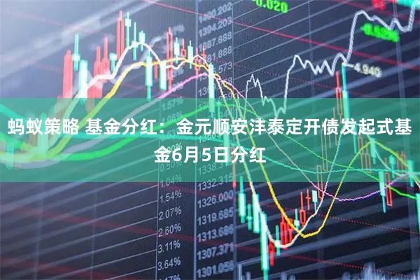 蚂蚁策略 基金分红:金元顺安沣泰定开债发起式基金6月5日分红