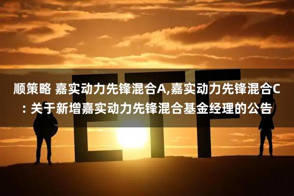 顺策略 嘉实动力先锋混合A,嘉实动力先锋混合C: 关于新增嘉实动力先锋混合基金经理的公告