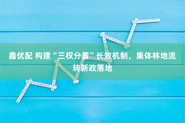 鑫优配 构建“三权分置”长效机制，集体林地流转新政落地