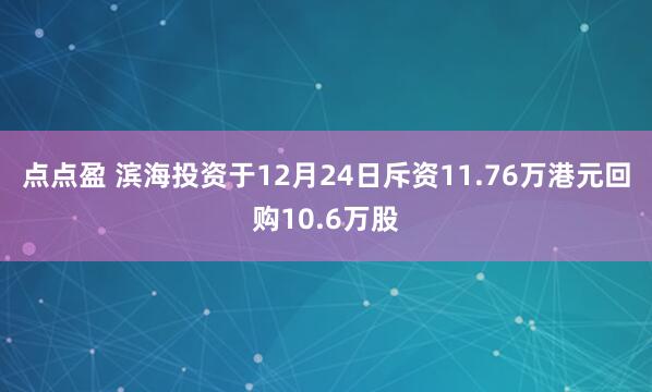 点点盈 滨海投资于12月24日斥资11.76万港元回购10.6万股