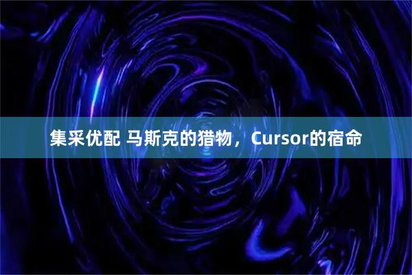 集采优配 马斯克的猎物，Cursor的宿命